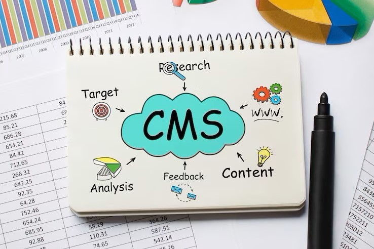 CMS Web Development