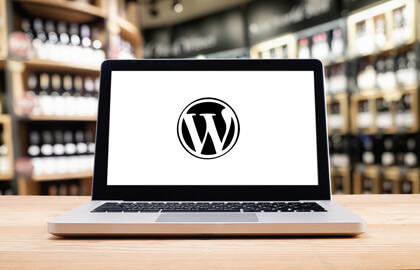 Wordpress Web Development Company
