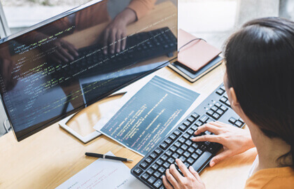 Web Application Development Services